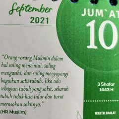 Rakyat 1Malaysia tolak dap.